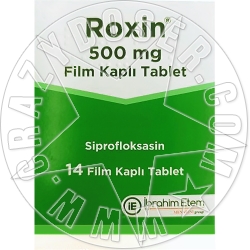 ROXIN 500